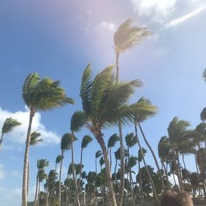 Meet your Posher, Madi